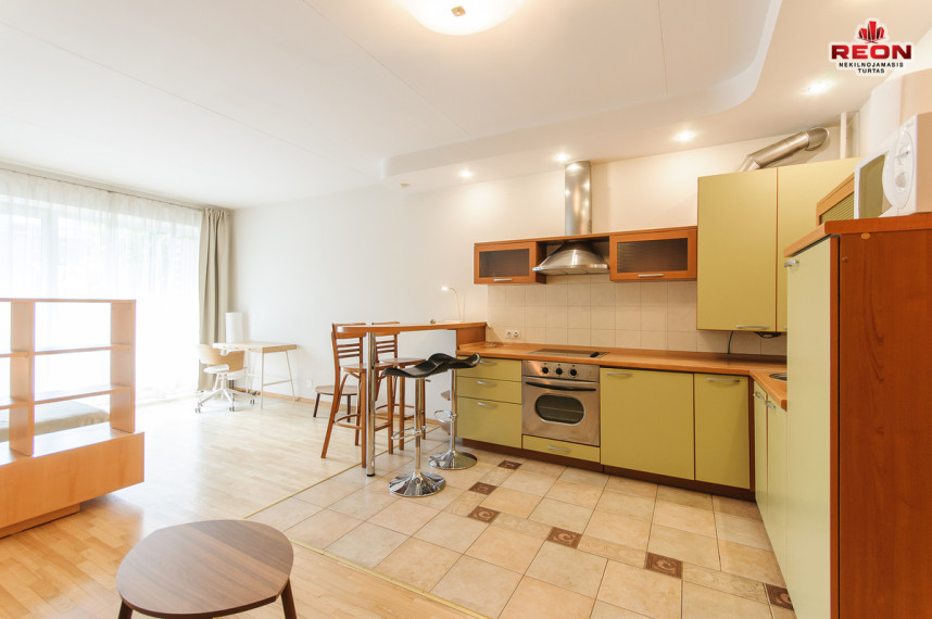 Nuomojamas butas Lūšių g., Žvėrynas, Vilniaus m., Vilniaus m. sav., 43 m2 ploto, 1 kambariai 1