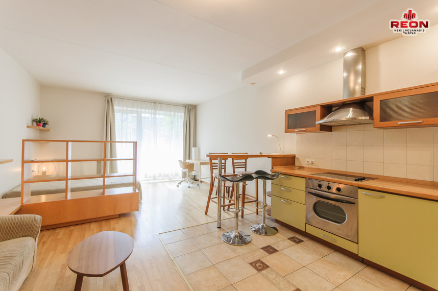 Nuomojamas butas Lūšių g., Žvėrynas, Vilniaus m., Vilniaus m. sav., 43 m2 ploto, 1 kambariai 6
