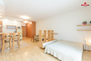 Nuomojamas butas Lūšių g., Žvėrynas, Vilniaus m., Vilniaus m. sav., 43 m2 ploto, 1 kambariai 16