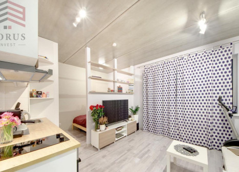 Nuomojamas butas Žalgirio g., Šnipiškės, Vilniaus m., Vilniaus m. sav., 32 m2 ploto, 1 kambariai