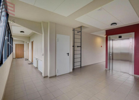 Nuomojamas butas Žalgirio g., Šnipiškės, Vilniaus m., Vilniaus m. sav., 32 m2 ploto, 1 kambariai