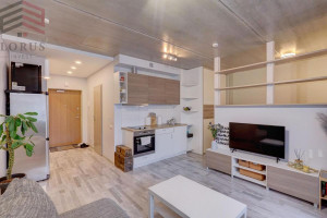 Nuomojamas butas Žalgirio g., Šnipiškės, Vilniaus m., Vilniaus m. sav., 32 m2 ploto, 1 kambariai 6