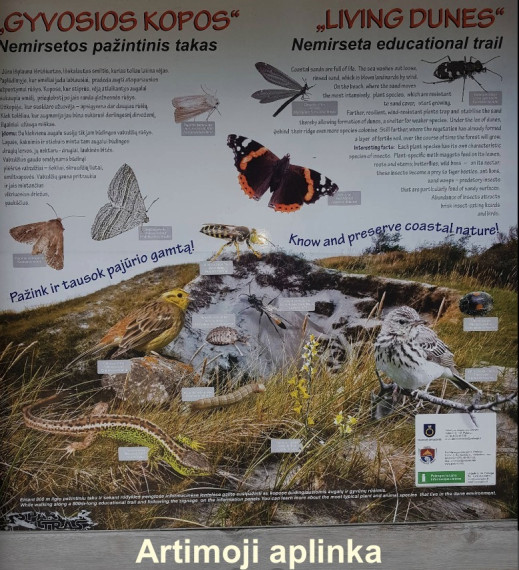 Parduodamas  sklypas Klaipėdos pl., Palangos m., Palangos m. sav., 10.32 a ploto 13