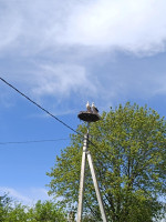 Parduodamas namas Širvintų r. sav., Šiaulių k., Slyvų, 61.91 m2 ploto, 1 aukštai 5