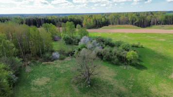 Parduodamas namas Širvintų r. sav., Šiaulių k., Slyvų, 61.91 m2 ploto, 1 aukštai 18