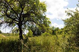 Parduodamas namas Kaišiadorių r. sav., Mičiūnų k., Dvaro g., 52.93 m2 ploto, 1 aukštai 9