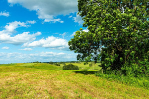Parduodamas namas Kaišiadorių r. sav., Mičiūnų k., Dvaro g., 52.93 m2 ploto, 1 aukštai 15