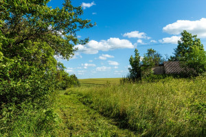 Parduodamas namas Kaišiadorių r. sav., Mičiūnų k., Dvaro g., 52.93 m2 ploto, 1 aukštai 18