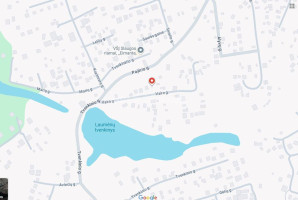 Parduodamas namas Vairo g., Laumėnų k., Kauno r. sav., 40.06 m2 ploto, 1 aukštai 10