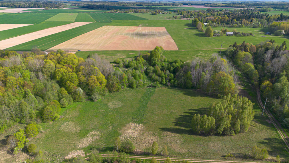 Parduodamas kitos paskirties sklypas Pykuolio g., Janionių k., Širvintų r. sav., 1162 a ploto 14