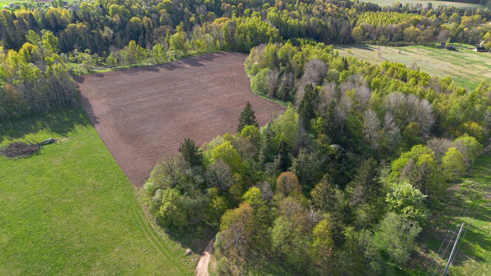 Parduodamas kitos paskirties sklypas Pykuolio g., Janionių k., Širvintų r. sav., 1162 a ploto 17