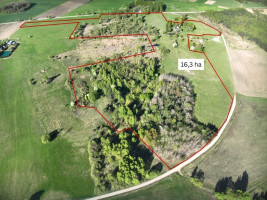 Parduodamas kitos paskirties sklypas Arglaičių k., Raseinių r. sav., 1628 a ploto 2