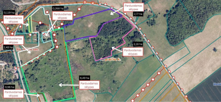 Parduodamas kitos paskirties sklypas Arglaičių k., Raseinių r. sav., 1628 a ploto 3