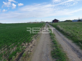 Parduodamas namų valdos paskirties sklypas Aukštelkės k., Šiaulių r. sav., 10.57 a ploto 11