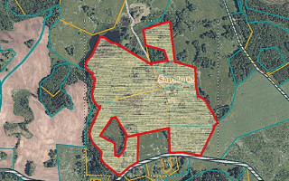 PARDUODAMAS RĄSTINIS 82,75 KV. M. SU DIDELIU MŪRINIU ŪKINIU PASTATU IR TVENKINIU 28,4796 HA ŠAPALŲ G. 1, ŠAPALŲ KAIME, ROKIŠKIO RAJONE 31