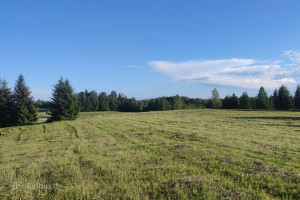 PARDUODAMAS RĄSTINIS 82,75 KV. M. SU DIDELIU MŪRINIU ŪKINIU PASTATU IR TVENKINIU 28,4796 HA ŠAPALŲ G. 1, ŠAPALŲ KAIME, ROKIŠKIO RAJONE 33