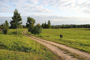 PARDUODAMAS RĄSTINIS 82,75 KV. M. SU DIDELIU MŪRINIU ŪKINIU PASTATU IR TVENKINIU 28,4796 HA ŠAPALŲ G. 1, ŠAPALŲ KAIME, ROKIŠKIO RAJONE 37