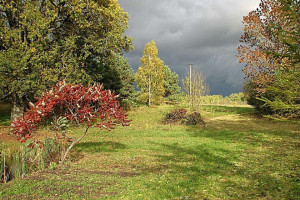 PARDUODAMAS RĄSTINIS 82,75 KV. M. SU DIDELIU MŪRINIU ŪKINIU PASTATU IR TVENKINIU 28,4796 HA ŠAPALŲ G. 1, ŠAPALŲ KAIME, ROKIŠKIO RAJONE 39