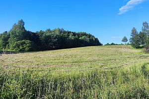 PARDUODAMAS RĄSTINIS 82,75 KV. M. SU DIDELIU MŪRINIU ŪKINIU PASTATU IR TVENKINIU 28,4796 HA ŠAPALŲ G. 1, ŠAPALŲ KAIME, ROKIŠKIO RAJONE 42