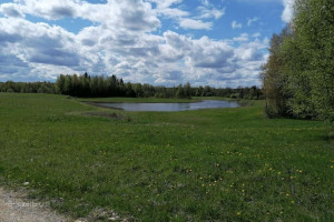 PARDUODAMAS RĄSTINIS 82,75 KV. M. SU DIDELIU MŪRINIU ŪKINIU PASTATU IR TVENKINIU 28,4796 HA ŠAPALŲ G. 1, ŠAPALŲ KAIME, ROKIŠKIO RAJONE 43
