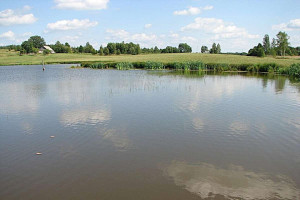 PARDUODAMAS RĄSTINIS 82,75 KV. M. SU DIDELIU MŪRINIU ŪKINIU PASTATU IR TVENKINIU 28,4796 HA ŠAPALŲ G. 1, ŠAPALŲ KAIME, ROKIŠKIO RAJONE 44
