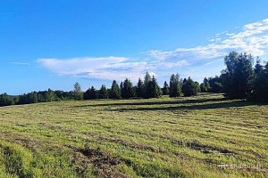 PARDUODAMAS RĄSTINIS 82,75 KV. M. SU DIDELIU MŪRINIU ŪKINIU PASTATU IR TVENKINIU 28,4796 HA ŠAPALŲ G. 1, ŠAPALŲ KAIME, ROKIŠKIO RAJONE 45