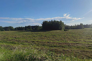 PARDUODAMAS RĄSTINIS 82,75 KV. M. SU DIDELIU MŪRINIU ŪKINIU PASTATU IR TVENKINIU 28,4796 HA ŠAPALŲ G. 1, ŠAPALŲ KAIME, ROKIŠKIO RAJONE 49