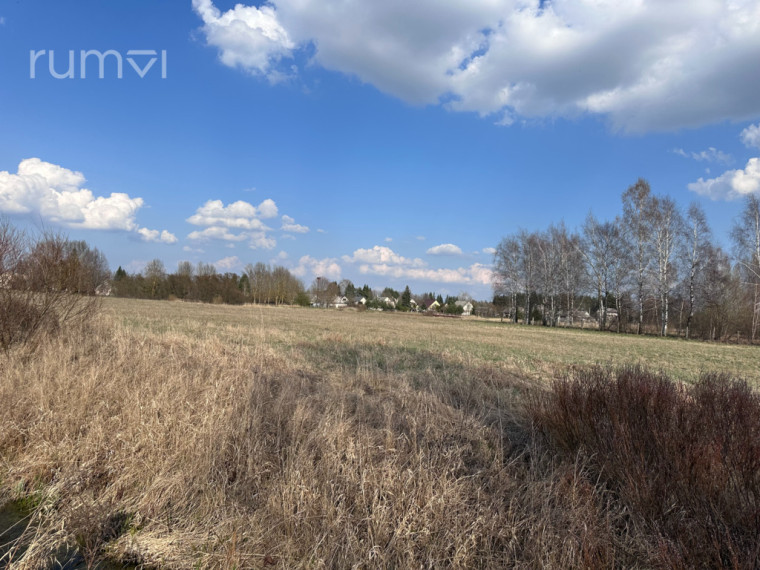 PARDUODAMAS 51 ARO NAMŲ VALDOS SKLYPAS SMILGIŲ G. 1 A, NEVĖŽIO KAIME, PANEVĖŽIO RAJONE 3