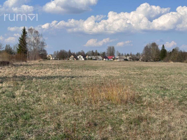 PARDUODAMAS 51 ARO NAMŲ VALDOS SKLYPAS SMILGIŲ G. 1 A, NEVĖŽIO KAIME, PANEVĖŽIO RAJONE 6