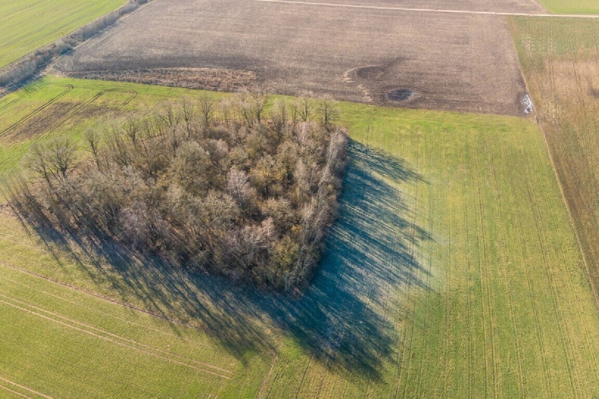 PARDUODAMI 3,19 HEKTARO ŽEMĖS ŪKIO PASKIRTIES SKLYPAI KREKENAVOS VIENSĖDYJE, PANEVĖŽIO RAJONE 2