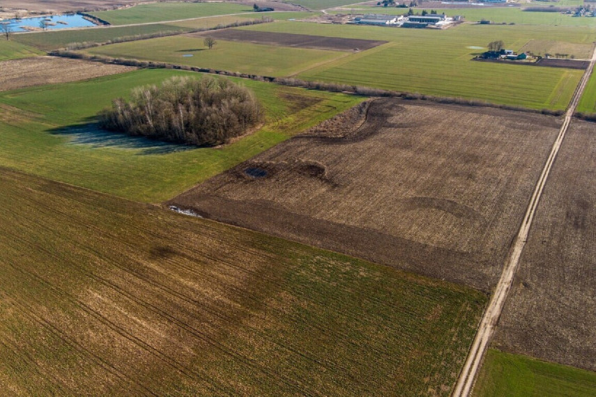 PARDUODAMI 3,19 HEKTARO ŽEMĖS ŪKIO PASKIRTIES SKLYPAI KREKENAVOS VIENSĖDYJE, PANEVĖŽIO RAJONE 7