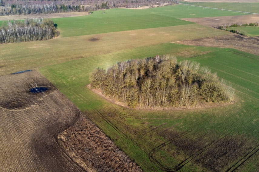 PARDUODAMI 3,19 HEKTARO ŽEMĖS ŪKIO PASKIRTIES SKLYPAI KREKENAVOS VIENSĖDYJE, PANEVĖŽIO RAJONE 9