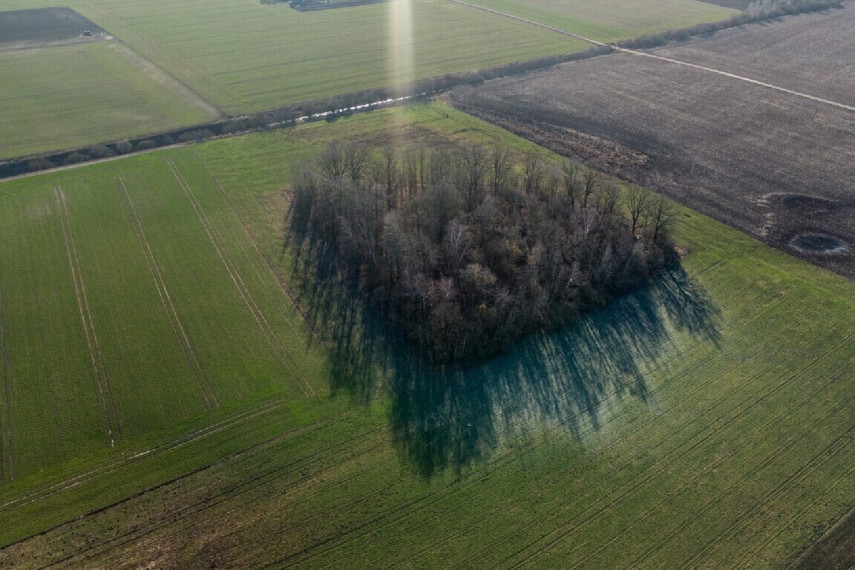 PARDUODAMI 3,19 HEKTARO ŽEMĖS ŪKIO PASKIRTIES SKLYPAI KREKENAVOS VIENSĖDYJE, PANEVĖŽIO RAJONE 10