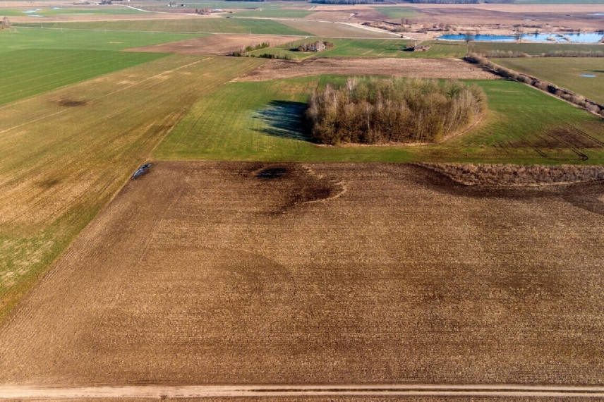 PARDUODAMI 3,19 HEKTARO ŽEMĖS ŪKIO PASKIRTIES SKLYPAI KREKENAVOS VIENSĖDYJE, PANEVĖŽIO RAJONE 14