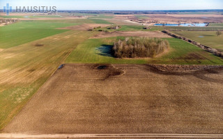 PARDUODAMI 3,19 HEKTARO ŽEMĖS ŪKIO PASKIRTIES SKLYPAI KREKENAVOS VIENSĖDYJE, PANEVĖŽIO RAJONE 5