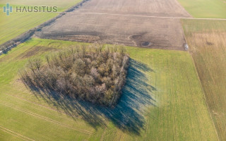 PARDUODAMI 3,19 HEKTARO ŽEMĖS ŪKIO PASKIRTIES SKLYPAI KREKENAVOS VIENSĖDYJE, PANEVĖŽIO RAJONE 7