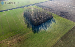 PARDUODAMI 3,19 HEKTARO ŽEMĖS ŪKIO PASKIRTIES SKLYPAI KREKENAVOS VIENSĖDYJE, PANEVĖŽIO RAJONE 21