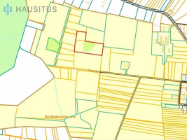 PARDUODAMI 3,19 HEKTARO ŽEMĖS ŪKIO PASKIRTIES SKLYPAI KREKENAVOS VIENSĖDYJE, PANEVĖŽIO RAJONE 30