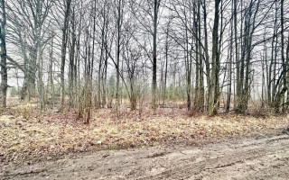 PARDUODAMAS 15 ARO GYVENAMOSIOS PASKIRTIES SKLYPAS MIGLĖS G. 5B, PAEŽERIO I KAIME, PANEVĖŽIO RAJONE 8