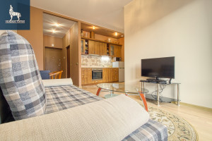 Nuomojamas butas Virbeliškių g., Pašilaičiai, Vilniaus m., Vilniaus m. sav., 34 m2 ploto, 1 kambariai 5