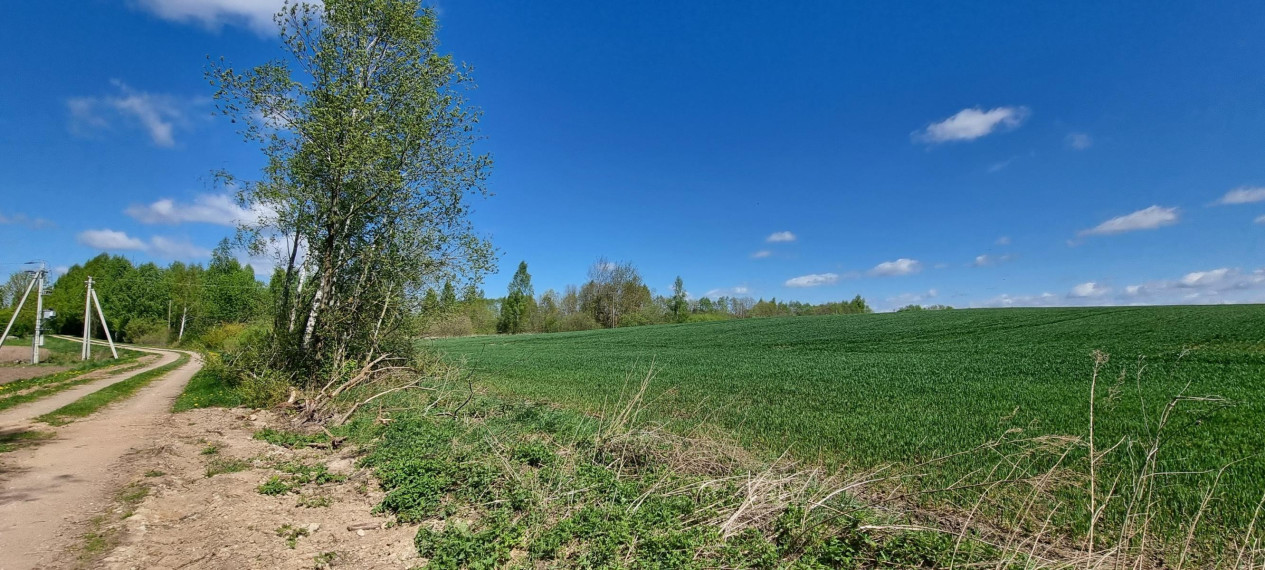 Parduodamas sklypas Lauzdonių k., Ukmergės r. sav., 765 a ploto 2