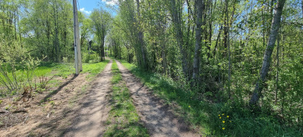 Parduodamas sklypas Lauzdonių k., Ukmergės r. sav., 765 a ploto 3