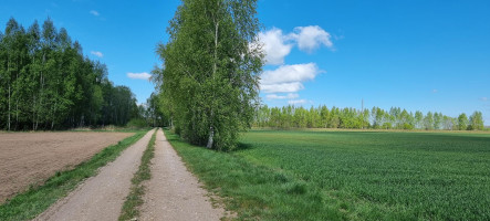 Parduodamas sklypas Lauzdonių k., Ukmergės r. sav., 765 a ploto 4