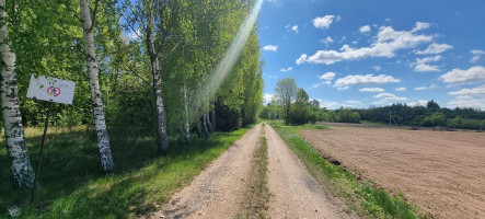 Parduodamas sklypas Lauzdonių k., Ukmergės r. sav., 765 a ploto 5