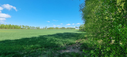 Parduodamas sklypas Lauzdonių k., Ukmergės r. sav., 765 a ploto 6