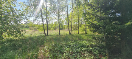 Parduodamas sklypas Lauzdonių k., Ukmergės r. sav., 765 a ploto 8