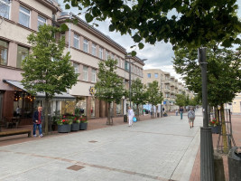 Nuomojamas butas Vilniaus g., Centras, Šiaulių m., Šiaulių m. sav., 49 m2 ploto, 2 kambariai 22