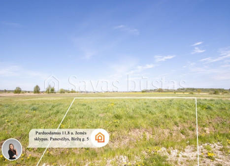 Parduodamas  sklypas Biržų g., Panevėžio m., Panevėžio m. sav., 11.8 a ploto