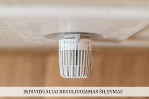 Nuomojamas butas Fabijoniškių g., Fabijoniškės, Vilniaus m., Vilniaus m. sav., 40 m2 ploto, 2 kambariai 20