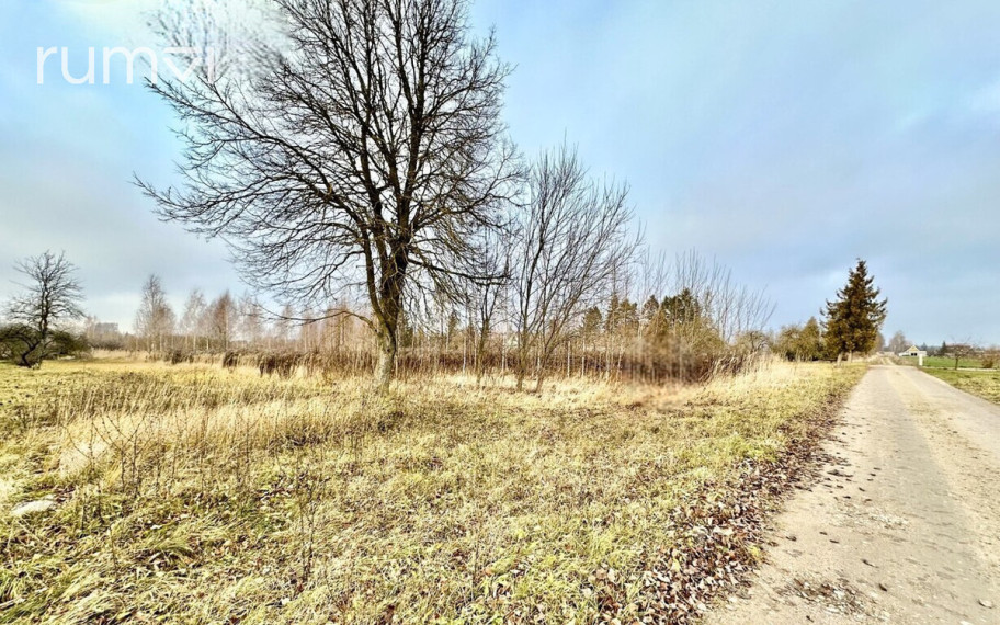 PARDUODAMAS 20 ARŲ GYVENAMOSIOS PASKIRTIES SKLYPAS PETRO LOČERIO G. 21, BIRŽŲ MIESTE 3